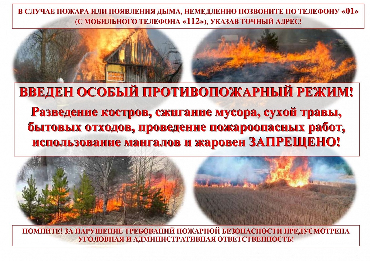 Сообщение