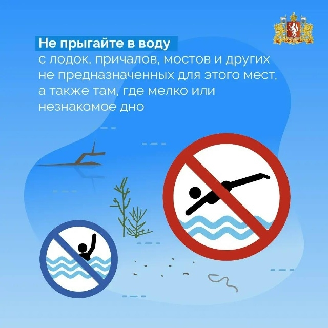 Сообщение Сообщение
