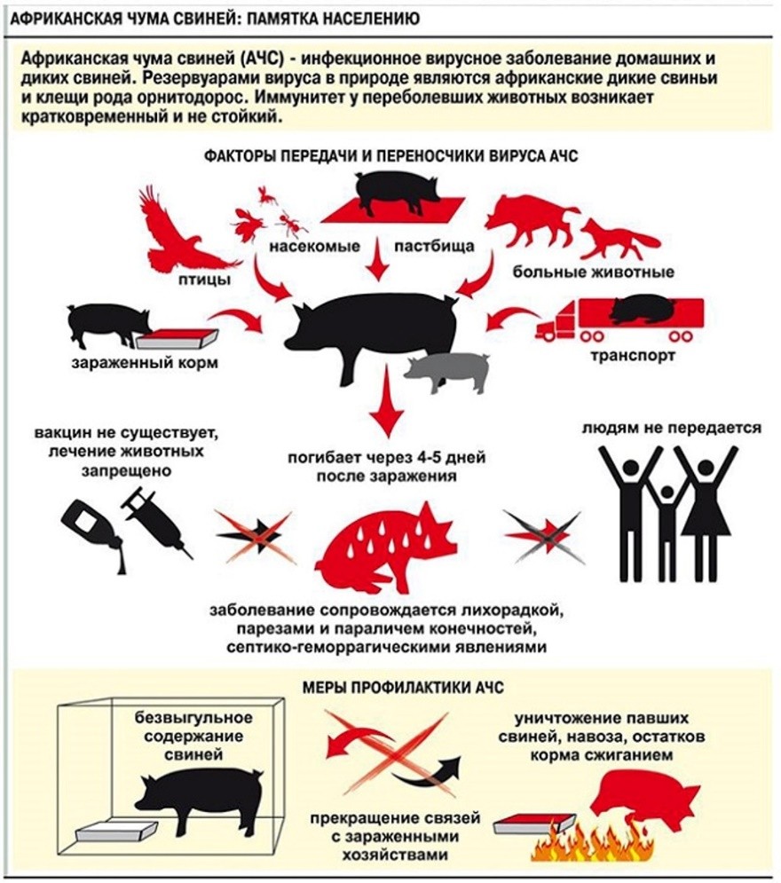 Сообщение Сообщение