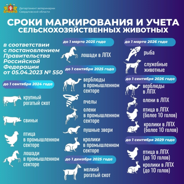 Сообщение