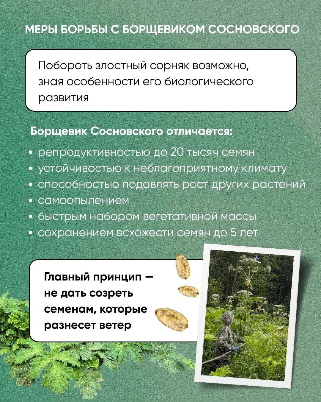Сообщение