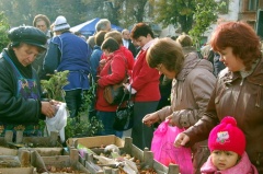 Утвержден  график проведения весенних сельскохозяйственных ярмарок в Сысертском городском округе