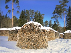 Льготникам компенсируют расходы за дрова