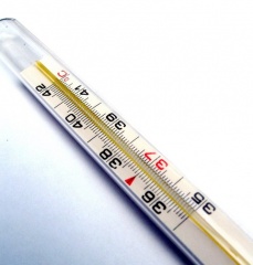 Заболеваемость ОРЗ растет, но гриппа нет