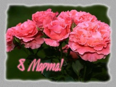 Милые женщины!